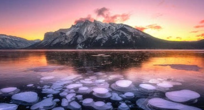 行业洞察 - 抖阴 - 传媒行业底层逻辑深度剖析平台