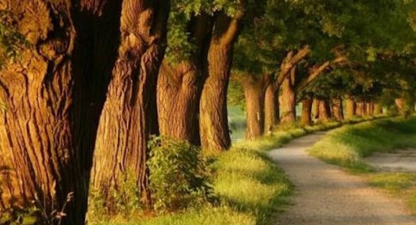 案例精选 - 抖阴 - 年度标杆创意项目成果精选展示